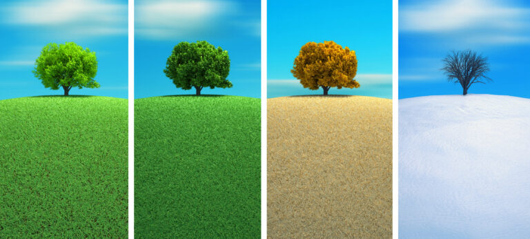 A tree in four seasons - 3d render